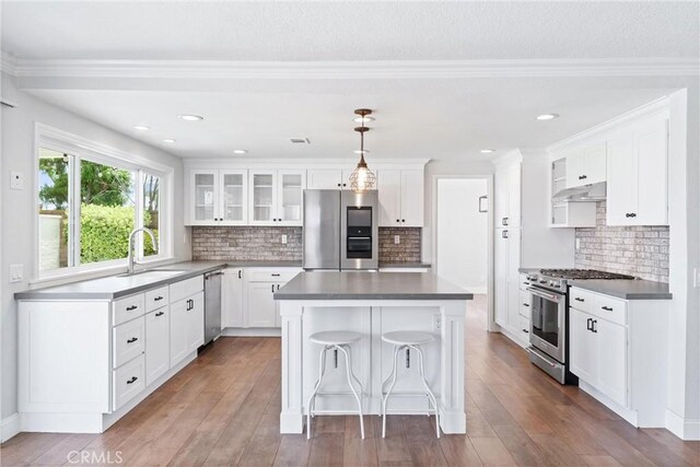 28422 La Pradera, Laguna Niguel, CA 92677 - kitchen featuring appliances with stainless steel finishes, under cabinet range hood, glass insert cabinets, a center island, and white cabinetry