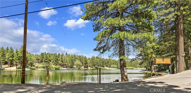 732 Tulip Dr, Green Valley Lake, CA 92341 - photo 34