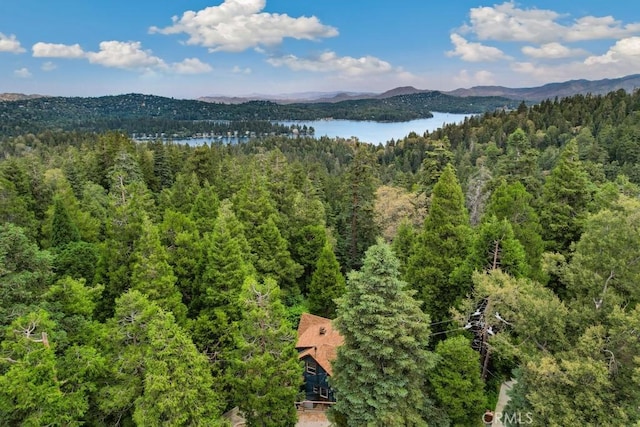 717 Crest Estates Dr, Lake Arrowhead, CA 92352 - bird's eye view of a heavily wooded area and a water and mountain view