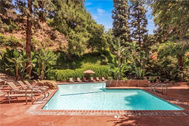 2700 Cahuenga Blvd E Unit 1302, Los Angeles, CA 90068 - community pool with a patio and view of wooded area