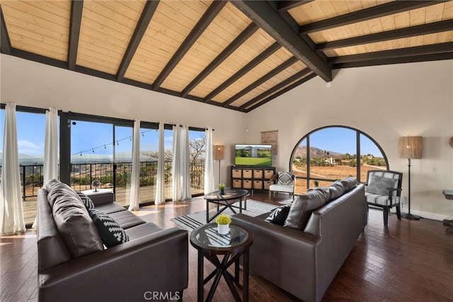 38225 Camino Sierra Rd, Temecula, CA 92592 - living room with a wooden ceiling with exposed beams, high vaulted ceiling, and wood-type flooring
