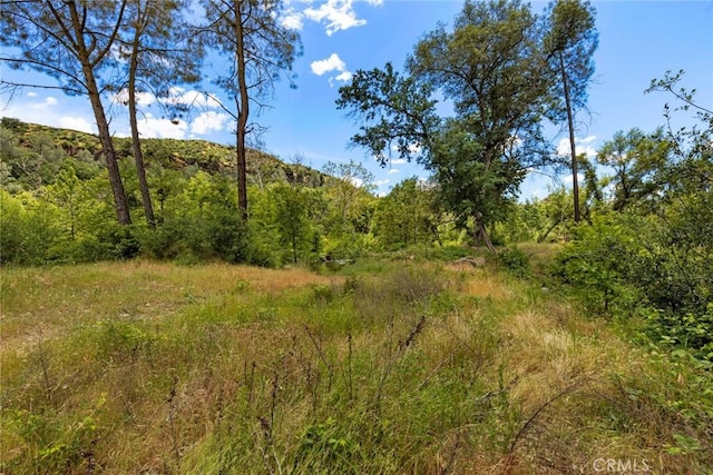 0 Centerville Rd, Chico, CA 95928 - photo 7