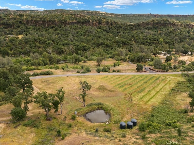 0 Centerville Rd, Chico, CA 95928 - photo 24