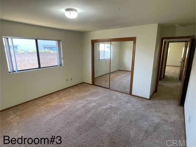 1003 Amherst Ave, Hemet, CA 92544 - unfurnished bedroom featuring carpet flooring, multiple windows, and a closet