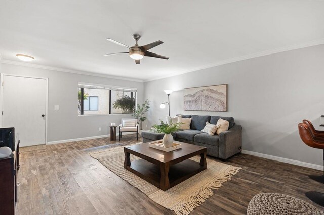 625 S Fig St Unit 17, San Diego, CA 92025 - photo 5