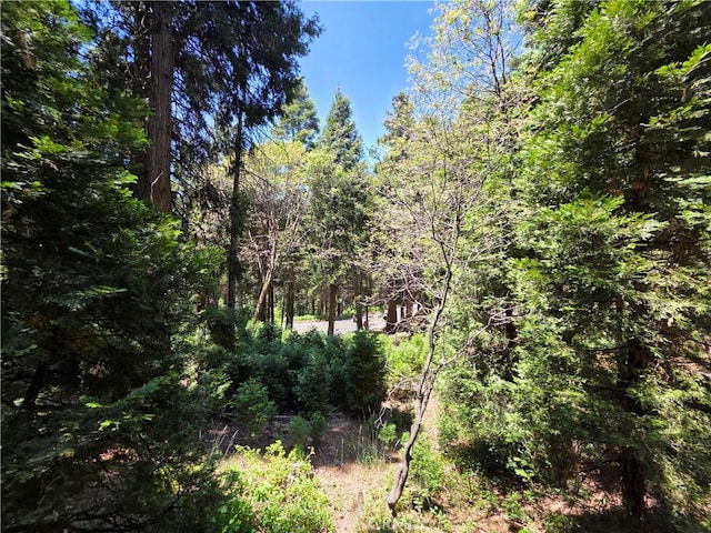 606 Crest Estates Dr, Lake Arrowhead, CA 92352 - photo 31