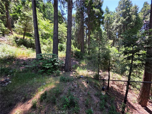 606 Crest Estates Dr, Lake Arrowhead, CA 92352 - photo 32
