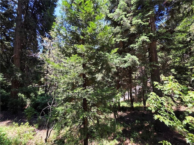 606 Crest Estates Dr, Lake Arrowhead, CA 92352 - photo 30