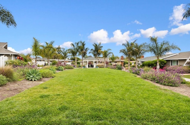 113 Via Breve Unit 23, San Clemente, CA 92672 - view of green lawn