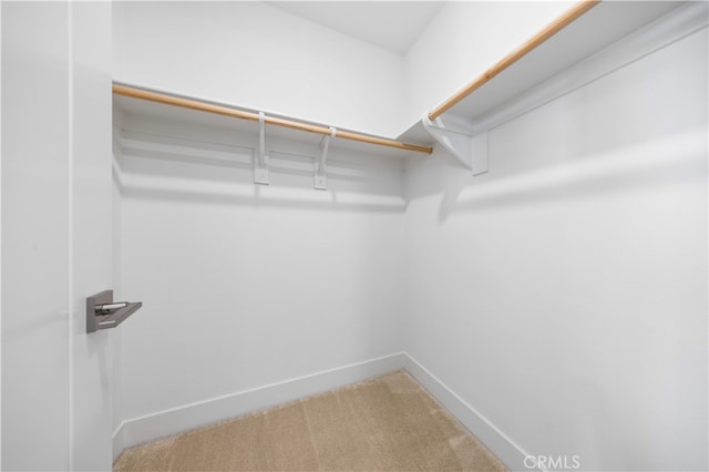 125 Character, Irvine, CA 92618 - walk in closet with carpet floors