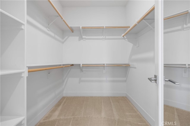 125 Character, Irvine, CA 92618 - spacious closet with carpet floors
