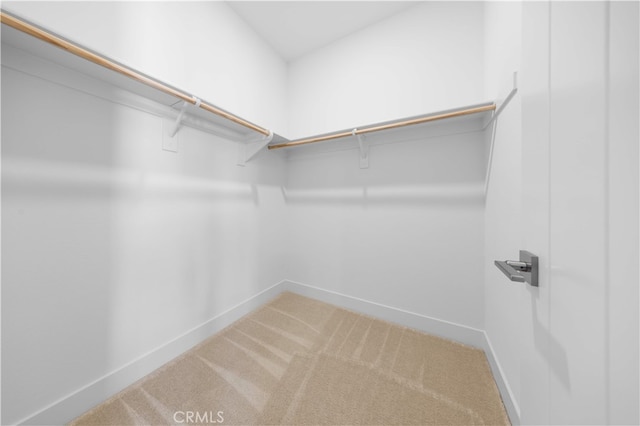 125 Character, Irvine, CA 92618 - walk in closet featuring carpet
