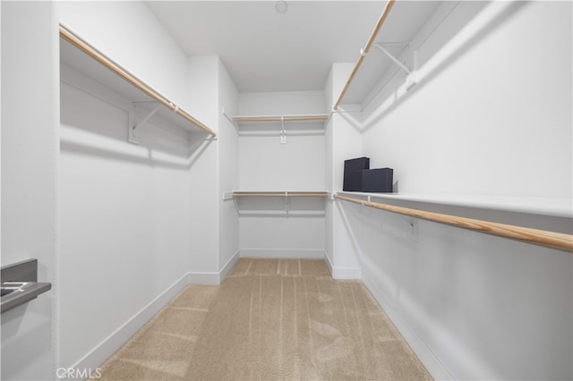 125 Character, Irvine, CA 92618 - spacious closet featuring light carpet