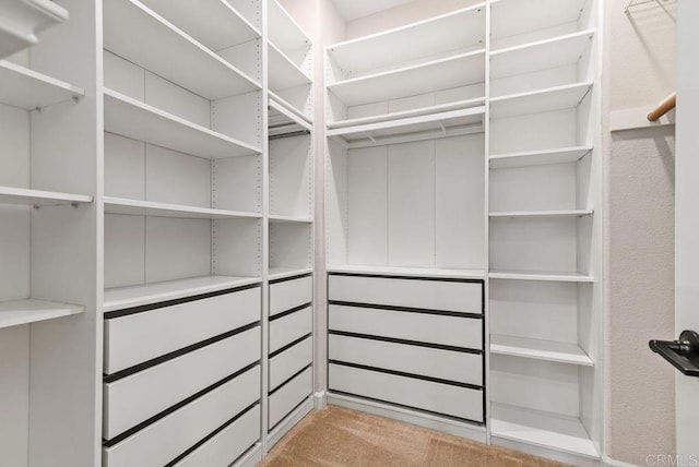 3510 Brody Way, Oceanside, CA 92056 - walk in closet featuring carpet flooring