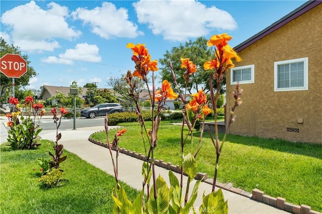 7020 El Verano Dr, Buena Park, CA 90620 - photo 19