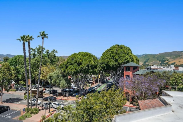 581 Higuera St Unit 203, San Luis Obispo, CA 93401 - photo 23