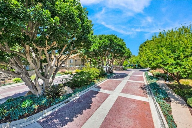 139 Night Heron Ln, Aliso Viejo, CA 92656 - photo 41