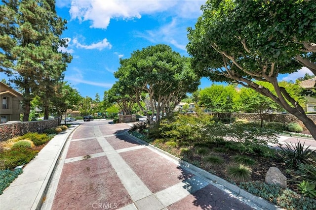 139 Night Heron Ln, Aliso Viejo, CA 92656 - photo 51