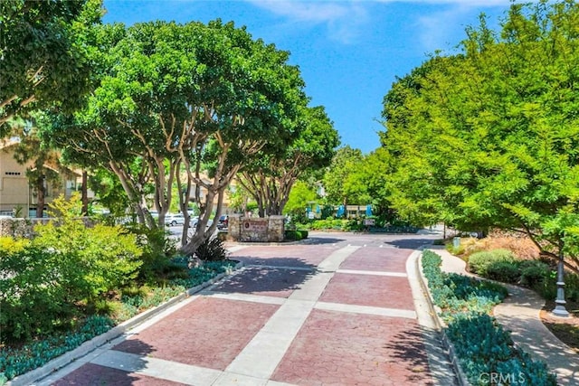 139 Night Heron Ln, Aliso Viejo, CA 92656 - photo 42