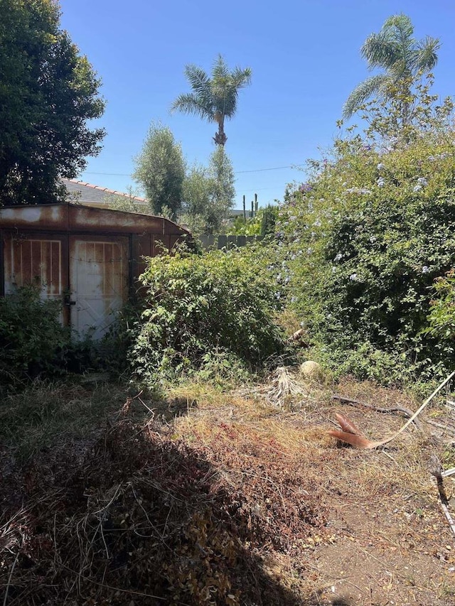 3621 Collier Ave, San Diego, CA 92116 - view of yard