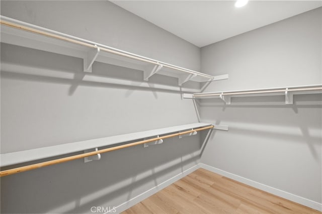 431 Daniella Way, Perris, CA 92570 - walk in closet with light wood-style floors
