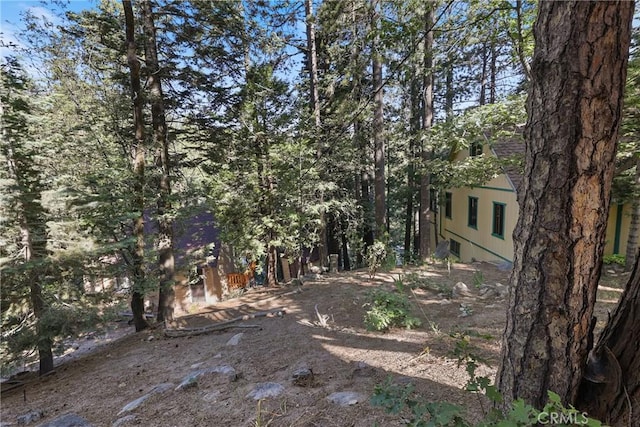 26314 Jacqueline Rd, Twin Peaks, CA 92391 - view of yard