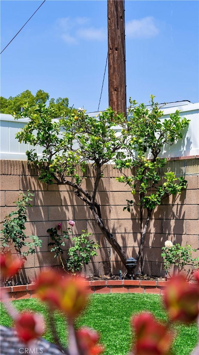 5215 E Monlaco Rd, Long Beach, CA 90808 - view of yard