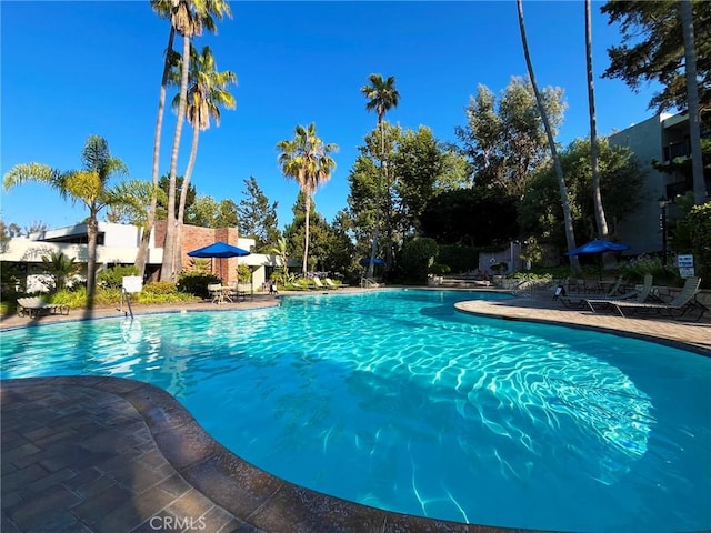 3605 W Hidden Ln Unit 118, Rolling Hills Estates, CA 90274 - photo 17