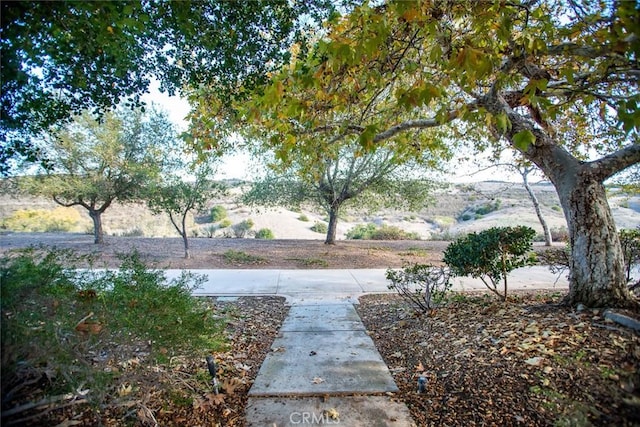 114 Encantado, Rancho Santa Margarita, CA 92688 - photo 67