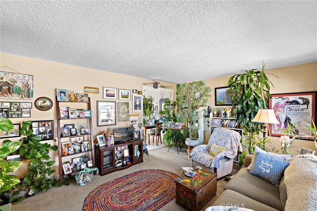 4292 Howard Ave, Los Alamitos, CA 90720 - carpeted living area with a textured ceiling