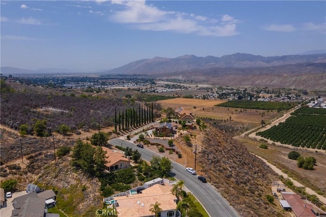 45540 Denizen Heights Rd, Hemet, CA 92544 - photo 42