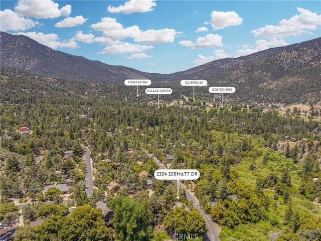 2324 Zermatt Dr, Pine Mountain Club, CA 93222 - photo 68
