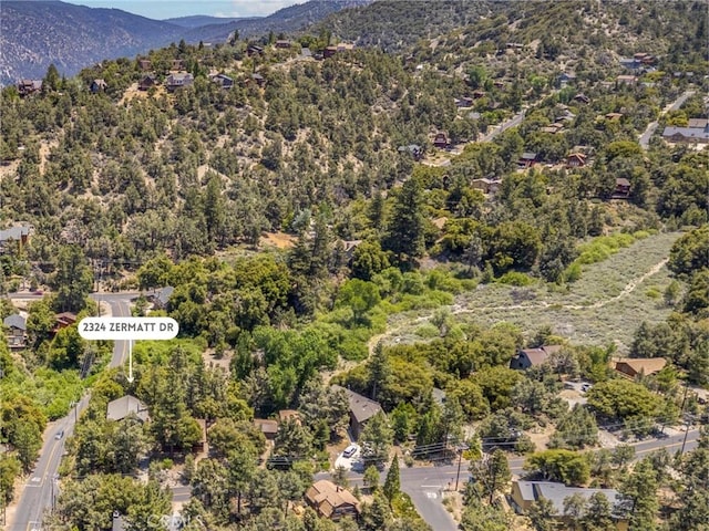 2324 Zermatt Dr, Pine Mountain Club, CA 93222 - photo 67
