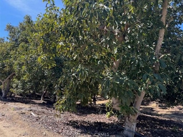 0 Monte Rancho, Temecula, CA 92590