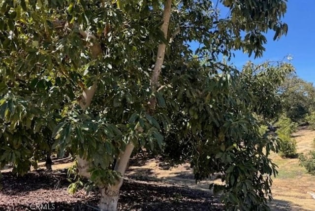 0 Monte Rancho, Temecula, CA 92590
