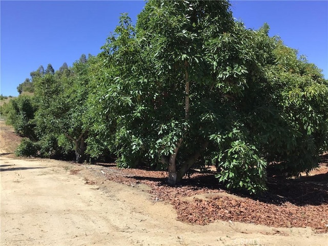 0 Monte Rancho, Temecula, CA 92590