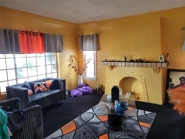 8110 S Denker Ave, Los Angeles, CA 90047 - carpeted living area with a textured ceiling