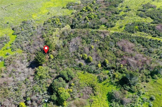3106 Gilbert Ave, Cayucos, CA 93430 - photo 10