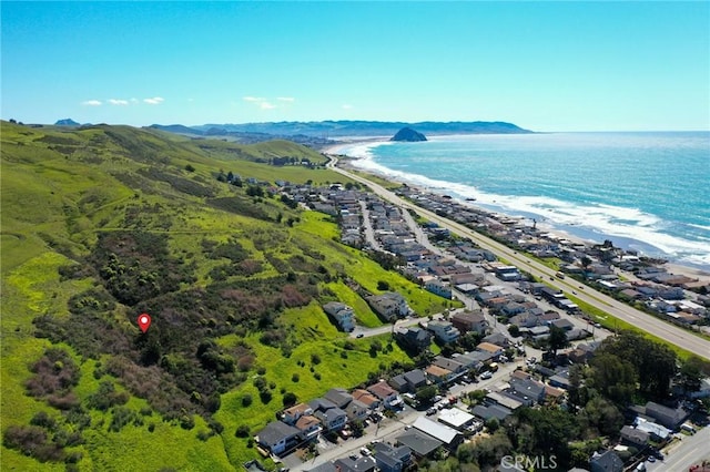3106 Gilbert Ave, Cayucos, CA 93430 - photo 9