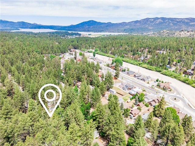 749 Birch St, Big Bear, CA 92315 - photo 37