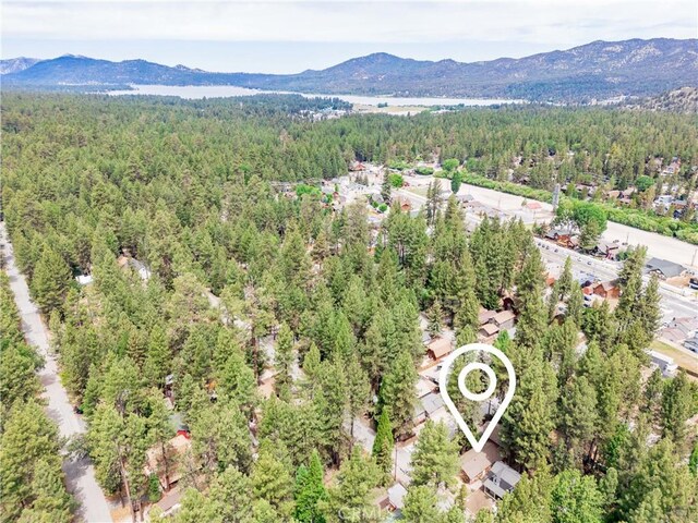 749 Birch St, Big Bear, CA 92315 - photo 44