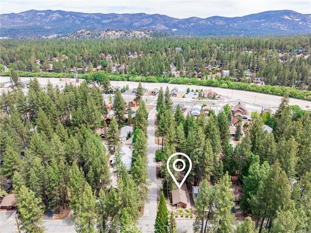 749 Birch St, Big Bear, CA 92315 - photo 45