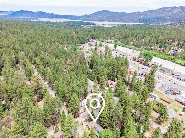 749 Birch St, Big Bear, CA 92315 - photo 43