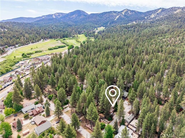 749 Birch St, Big Bear, CA 92315 - photo 42