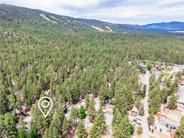 749 Birch St, Big Bear, CA 92315 - photo 39