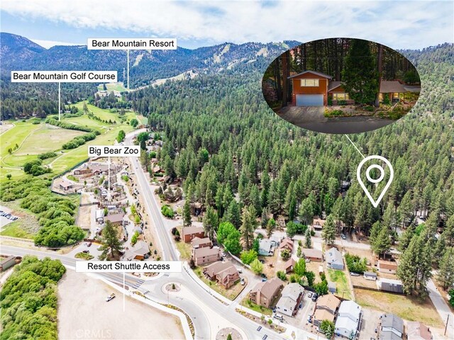 749 Birch St, Big Bear, CA 92315 - photo 3