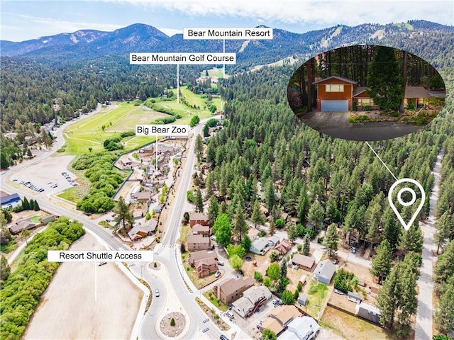 749 Birch St, Big Bear, CA 92315 - photo 2