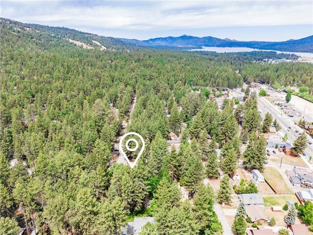 749 Birch St, Big Bear, CA 92315 - photo 38