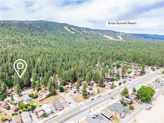 749 Birch St, Big Bear, CA 92315 - photo 40