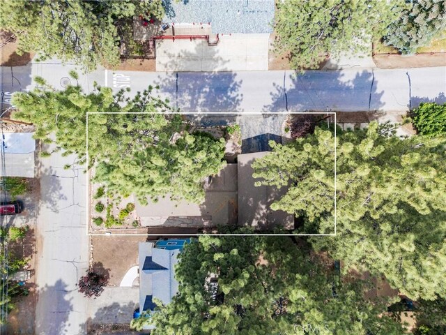 749 Birch St, Big Bear, CA 92315 - photo 48